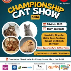 As the grooming partner for the Championship Cat Show in Delhi, we help ensure the participating cats look their absolute best. This event features specialty rings for breeds like Maine Coons, Persians, and Bengals.