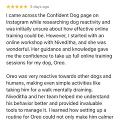 Many people are skeptical about online training, and I understand why. This review from Oreo's parent, who was initially unsure, shows the journey from doubt to confidence. It highlights how my online workshops and one-on-one sessions provide the guidance and knowledge needed to manage complex behaviors like reactivity.