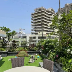 The client's brief for this terrace was simple: bright and colorful. We delivered with a lush artificial lawn for the kids to play on, surrounded by flowering plants like plumeria and bougainvillea, creating a cheerful family space.