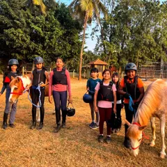 A group of happy campers leads their ponies after a lesson. Our camps are designed to be full of fun, learning, and unforgettable moments for young horse enthusiasts.