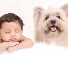 The perfect pair. A sleeping newborn rests peacefully next to the family's fluffy and alert dog on a soft white rug.