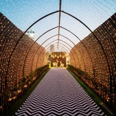 A tunnel of a million stars. I used arches of fairy lights to create this incredibly magical and romantic walkway, leading guests to a sangeet night they would never forget.