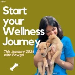 Start your wellness journey this January with Pawga. This poster announces our events for the new year, with reduced prices to make them more accessible.