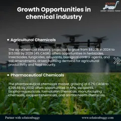 A closer look at two major growth areas. The agrochemical market is driven by the need for food security, while the pharmaceutical chemicals market is expanding due to rising healthcare demands.
