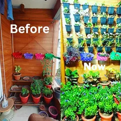 A balcony doesn't need to be bare. I transformed this space by installing a vertical garden system for the client's existing plants and adding many more, turning a simple wall into a dense, beautiful, and productive living garden.