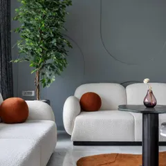 In 'The House of Arcs', we used soft, curved furniture and a muted color palette accented with rust-colored pillows. The design is built around fluid lines and organic shapes to create a calming and cohesive living space.