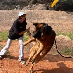Training isn't just about commands; it's about having fun. I use play, like a game of frisbee, to build motivation and strengthen your bond. A happy, engaged dog is a dog that loves to learn.