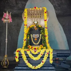 A beautifully decorated Shiva Lingam at the Saamba Parameshwara temple in our ashram. This is where we conduct the morning Rudra Puja, a powerful chanting ceremony to honor Lord Shiva.