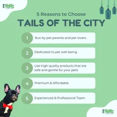 We're more than just a grooming salon. We're a team of experienced pet lovers dedicated to your pet's well-being with safe, high-quality products.