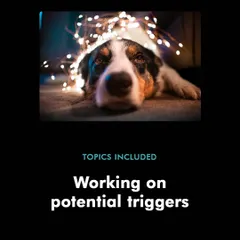 A key part of managing holiday stress for your dog is working on potential triggers before they become a problem. This graphic highlights one of the topics covered in my Diwali preparedness workshop, focusing on proactive training.