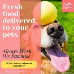 I pawmise your dog will love their fresh food, delivered right to your door. Sign up for a weekly or monthly subscription and get 10% off your order.