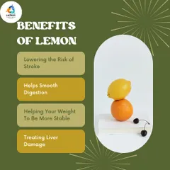 Even simple additions like lemon can have a profound impact. It aids in smooth digestion, helps stabilize weight, and contains compounds that support liver health.