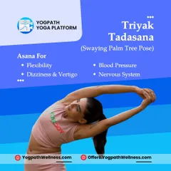 Tiryaka Tadasana, the Swaying Palm Tree Pose, is a simple yet powerful standing stretch. It is excellent for improving flexibility in the spine, reducing waist fat, and calming the nervous system.