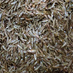 This is the same high-quality small dried fish I use in my own kitchen. They are sourced for their authentic flavor.