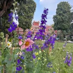 A view of Lal Kothi through its vibrant garden. The home's historic red brick facade is beautifully framed by the seasonal blooms, showcasing the deep integration of landscape and architecture that defines this project.