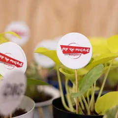 A close-up of our plant gifts for a pop-up market. We can add branding for corporate events, making it a unique and green promotional item.