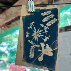 A beautiful botanical cyanotype print created during our community workshop. The children learned the Kannada names for the plants they gathered to create their art.