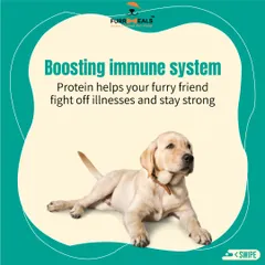 This series breaks down the many roles of protein. It fuels fun and adventures, builds strong muscles, boosts the immune system, supports happy joints, and contributes to a shiny skin and coat.