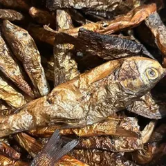 Close-up of my smoked and dried fish. This is a staple ingredient that adds a deep, smoky, and umami flavour to many Manipuri and Naga recipes. It is ready to be added to stews and side dishes.