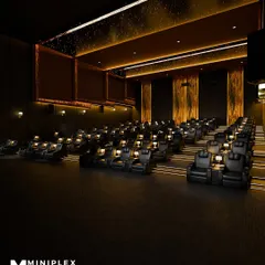 Another angle of the commercial multiplex, showing the sheer scale of the project and the attention to detail in every row of seating.