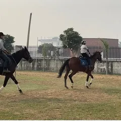 A group of riders practicing together in the arena. Our group lessons allow students to learn from each other in a social setting.