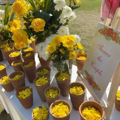 A simple yet beautiful detail for a haldi ceremony: terracotta kullads filled with fresh yellow flower petals for guests to shower the couple.