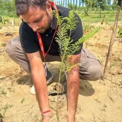 A volunteer focuses on settling a young tree into its new home. This hands-on experience connects people directly with nature and the process of ecological restoration.