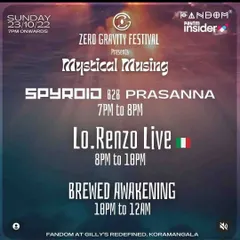 A poster for the Zero Gravity Festival, where we performed alongside some incredible musical acts. These events are all about mystical, organic vibes.