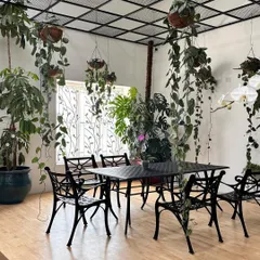 We helped create this beautiful indoor garden room, filled with hanging plants, tall foliage, and blooming orchids. It’s a perfect example of how to create a lush, green escape right inside your home.