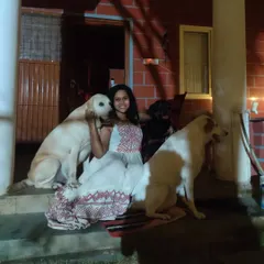 A quiet moment with my pack. These kiddos are my family and the reason I do what I do. They've taught me more about love, resilience, and loyalty than anyone else.