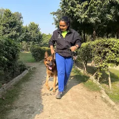 A woman can't handle a big, strong dog? Please. Here I am with Phantom, a large German Shepherd, practicing a focused heel walk. It's not about strength, it's about technique and communication.
