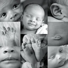 A black and white collage of newborn details. This artistic composition highlights the textures and shapes of their tiny hands, feet, and facial features in a timeless way.