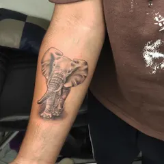 A realistic black and grey elephant tattoo on the forearm. We focused on the shading to create depth and capture the texture of the elephant's skin.