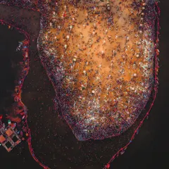 Another perspective of the holy dip at Prayagraj. The drone captures the temporary settlements and pathways that form around the main bathing area, showing the shape of the gathering.