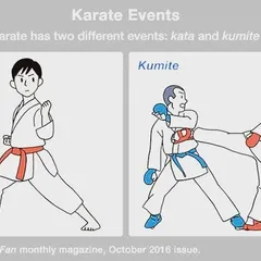 Karate training is divided into two main parts: Kata (forms) and Kumite (sparring). Both are essential for developing into a complete martial artist.