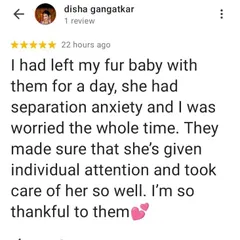 We are so thankful for your support, Disha. We understand separation anxiety is tough, so we always give extra individual attention to make sure every dog feels secure.
