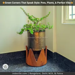 A simple green corner can speak volumes. This stylish planter, featuring a brass pot on a rustic wooden crown base, is an example of the custom decor pieces I source and create to bring a unique vibe to any indoor space.