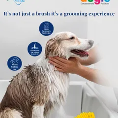 This isn't just a brush, it's a complete grooming experience. The Pet+Me yellow brush gently removes loose hair and dandruff, stimulates the skin, and even cleans fur off furniture and fabrics.