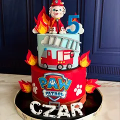 No job is too big, no pup is too small! This PAW Patrol cake is ready to save the day, featuring Marshall the fire pup on a two-tiered, flame-covered cake for Czar's 5th birthday.