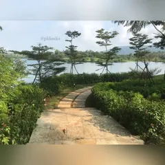 From the top of a set of stone stairs, the pathway unfolds, inviting a walk down towards the lake. The elevated perspective shows how the path is carefully integrated into the natural topography of the site.