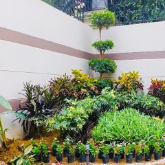 This is a work-in-progress shot of a garden bed I was creating. You can see how I layer different plants like Crotons and other shrubs to build a rich, multi-textured look.