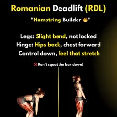The Romanian Deadlift (RDL) is a fantastic hamstring builder. Unlike a conventional deadlift, you maintain a slight bend in the legs and hinge at the hips, feeling the stretch in your hamstrings as you control the weight down.