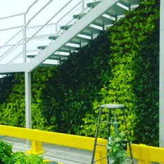 This is a full-height indoor vertical garden I installed under a staircase. It brings a massive amount of vibrant greenery into the space, softening the modern, industrial feel of the architecture.