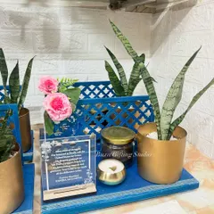 A "Thank You" hamper for a client celebrating their Green Card. This luxury platter includes a snake plant in a golden brass planter, Theobroma cookies, and a scented candle with a custom acrylic card.