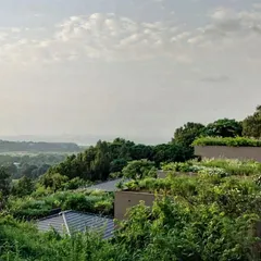 A few years of growth can make all the difference. This view of Villa Toshi shows how the landscape, designed by our collaborators, has matured to envelop the building, creating a green oasis that overlooks the Alibaug coast.