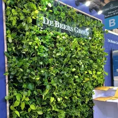 This lush, living vertical garden was created for the De Beers Group office in Goregaon, Mumbai. A wall of real money plants brings positive energy and fresh air into the corporate environment.
