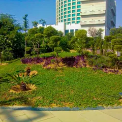 A view of a corporate or public park landscape we executed, featuring sculpted mounds, colorful ground cover, and manicured trees. This type of design adds visual interest and a sense of artistry to large green spaces.