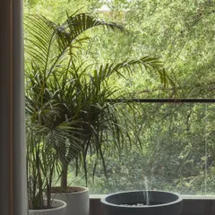 Even the smallest balcony can become a personal sanctuary. Here, a simple combination of a potted palm and a stone bowl water feature creates a tranquil corner, demonstrating my expertise in urban balcony makeovers and small space landscape design.
