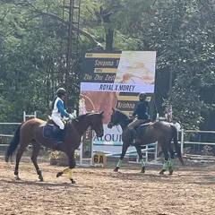 Two horse and rider pairs in the warm-up arena at Japalouppe. Our horses are seasoned competitors, remaining calm and focused in the bustling environment of a show.