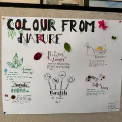 Students researched and presented on different sources of natural colour, from flowers and leaves to minerals and coffee beans. This poster showcases their learning in a creative and visual way.